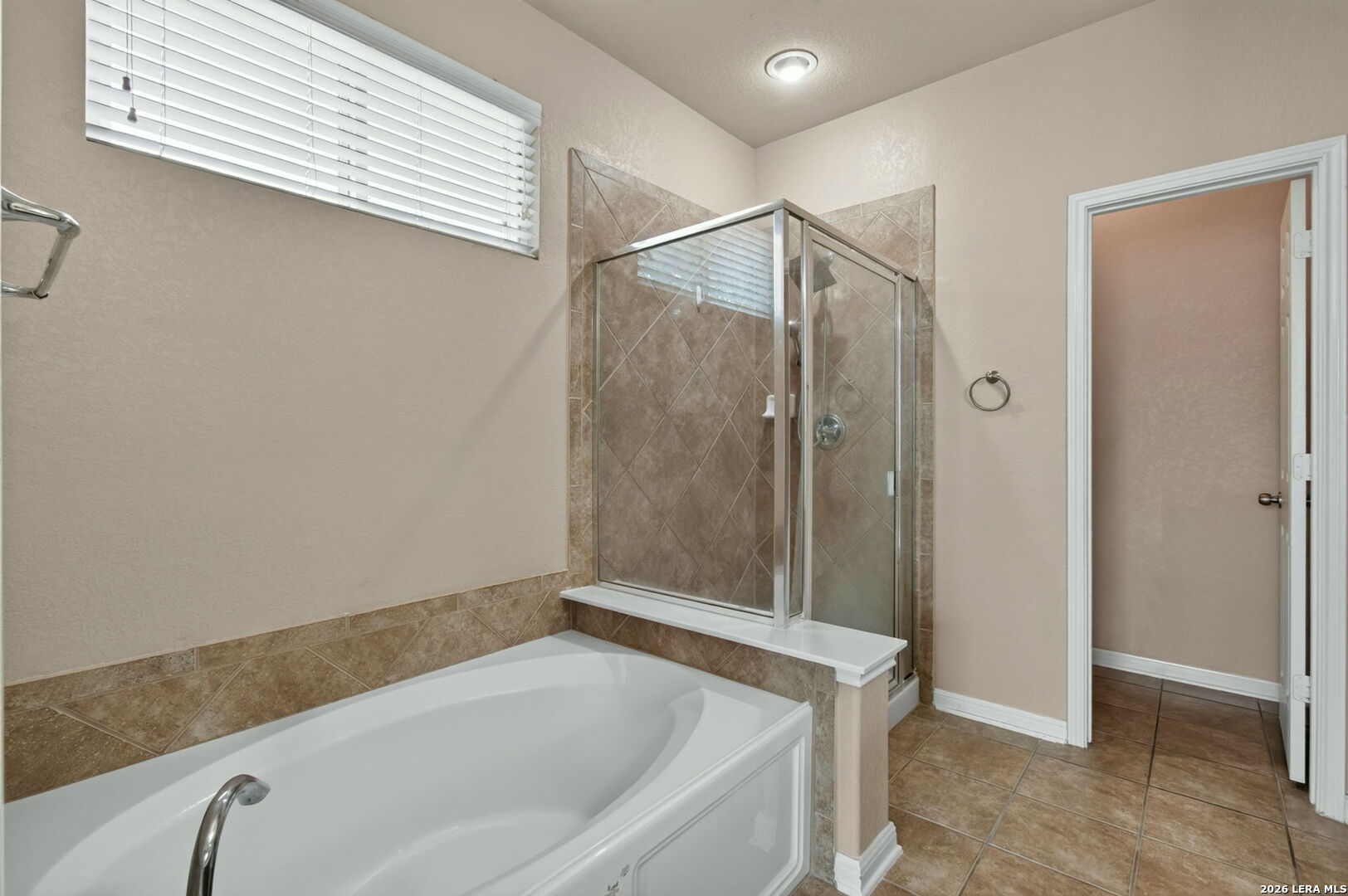 7230 WILLOW RAIN, San Antonio, TX 78244