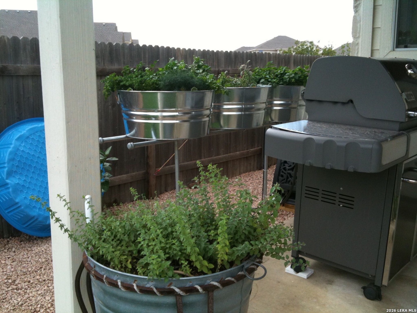 8206 Piney Wood Run, San Antonio, TX 78255