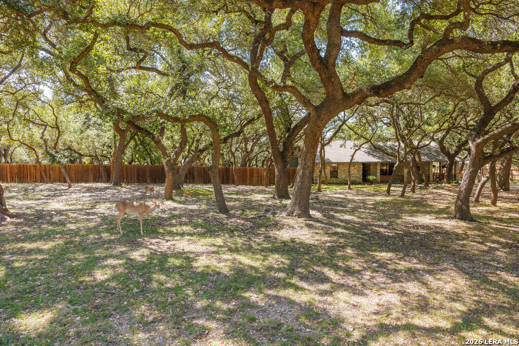 112 Golden Morn, San Antonio, TX 78260