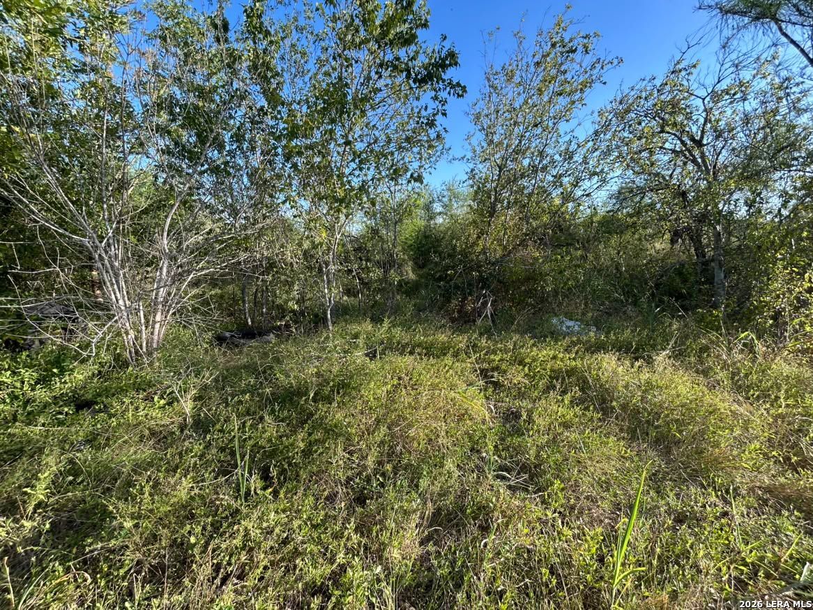 Photo 4 of Land for sale at 334 Proctor Blvd, San Antonio, TX 78221 | MLS# 2015989 | Listing updated on 2026-09-11