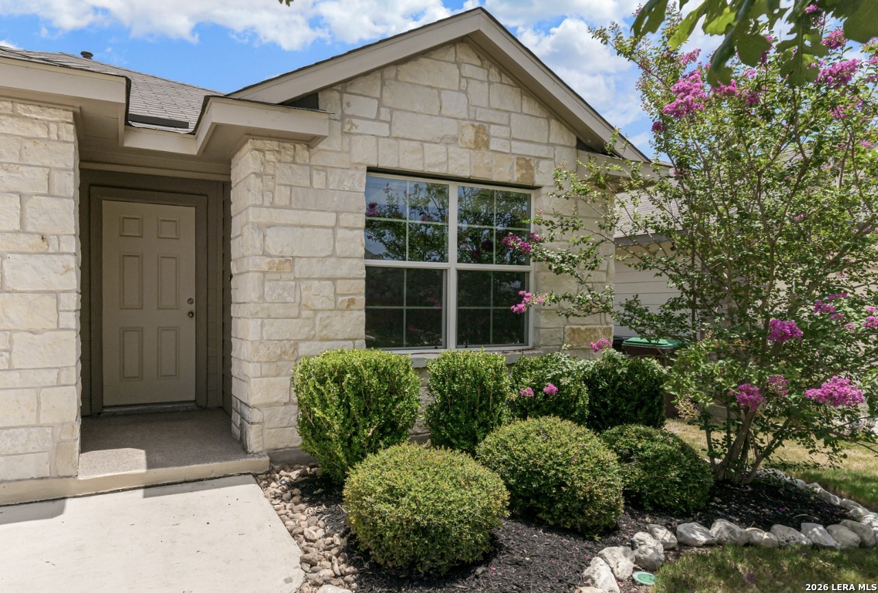 432 Snowy Egret, San Antonio, TX 78253