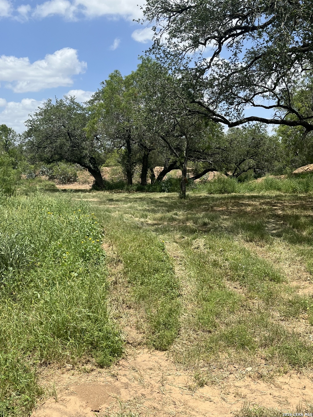 Land for sale at 946 County Rd 2863, Bigfoot, TX 78006 | MLS# 2016544