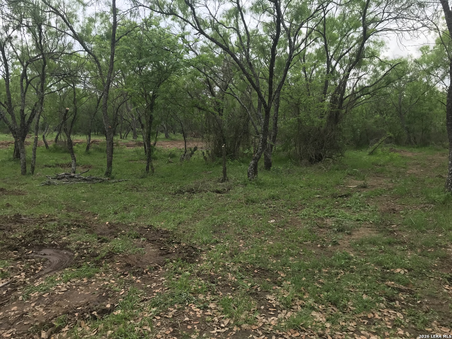 Photo 2 of Land for sale at 946 County Rd 2863, Bigfoot, TX 78006 | MLS# 2016544 | Listing updated on 2026-09-14