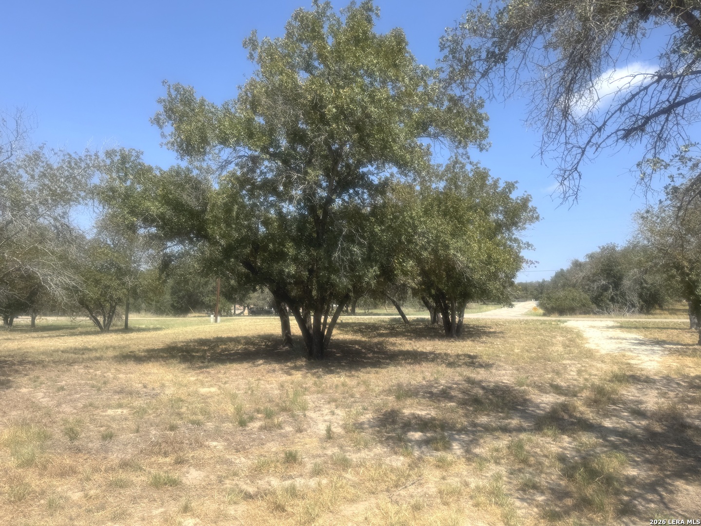 Photo 3 of Land for sale at 1600 County Rd 770, Natalia, TX 78059 | MLS# 2016766 | Listing updated on 2026-09-15