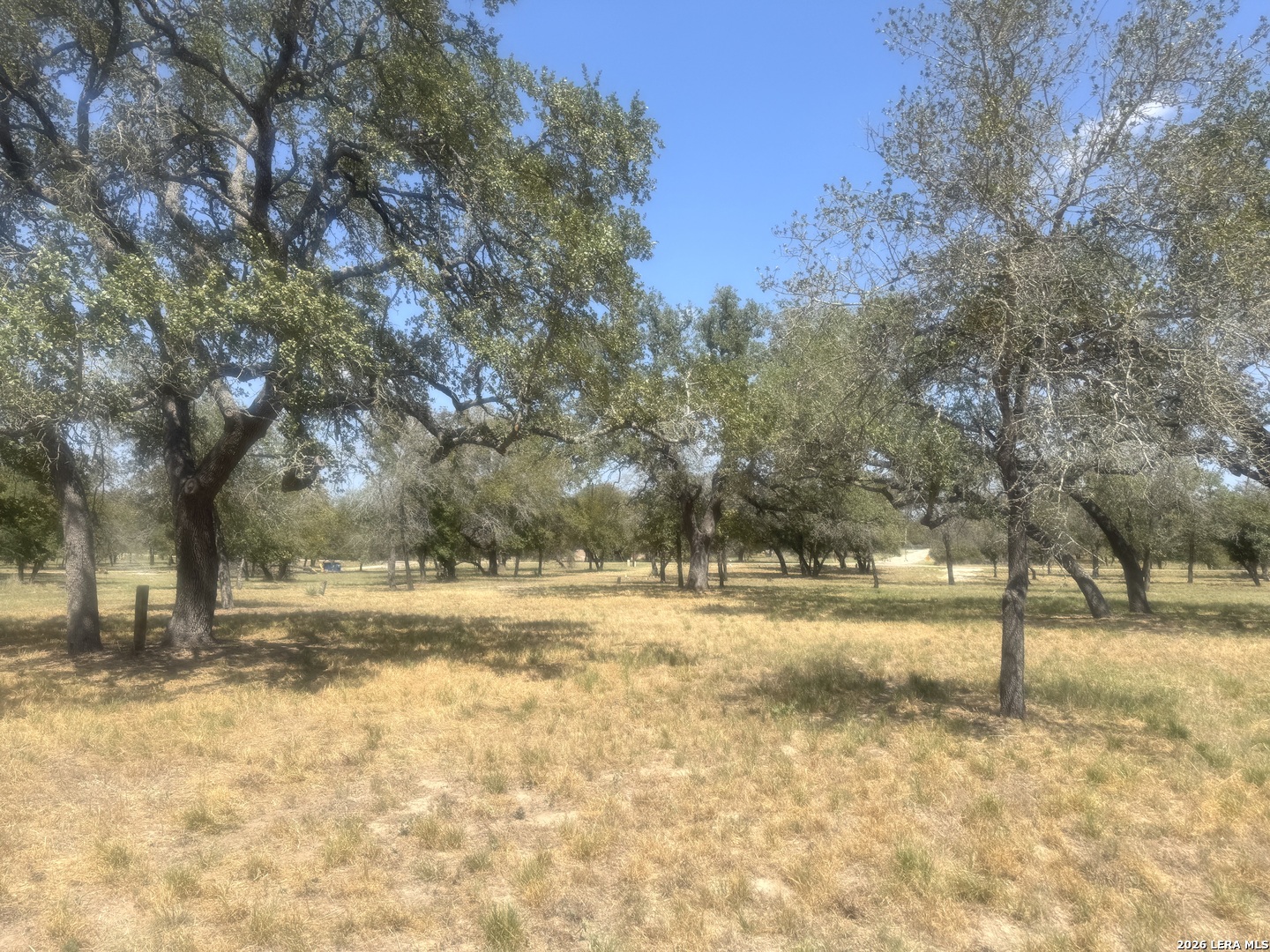 Photo 2 of Land for sale at 1600 County Rd 770, Natalia, TX 78059 | MLS# 2016766 | Listing updated on 2026-09-15