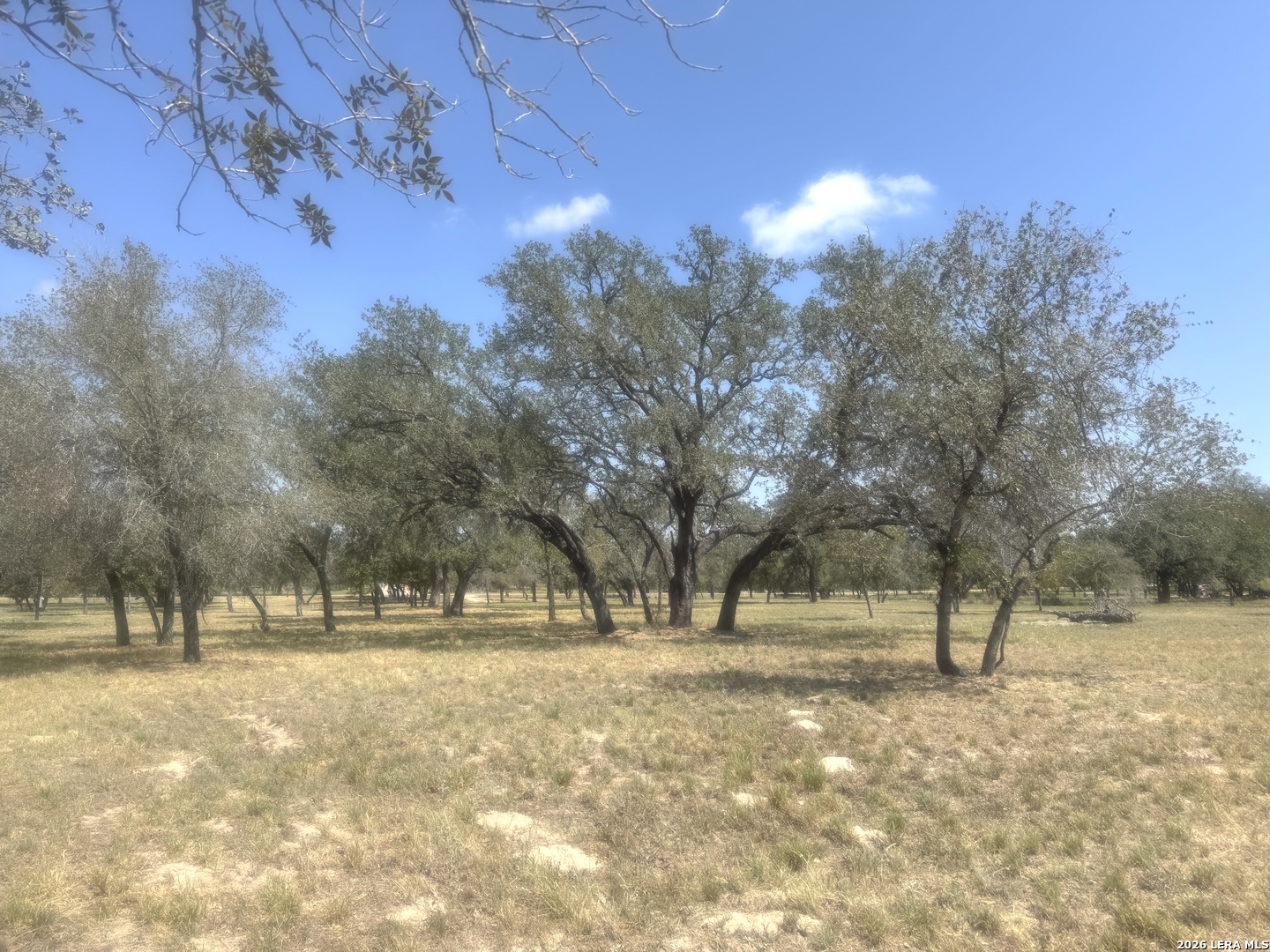 Photo 3 of Land for sale at 1600 County Rd 770, Natalia, TX 78059 | MLS# 2016766 | Listing updated on 2026-09-15