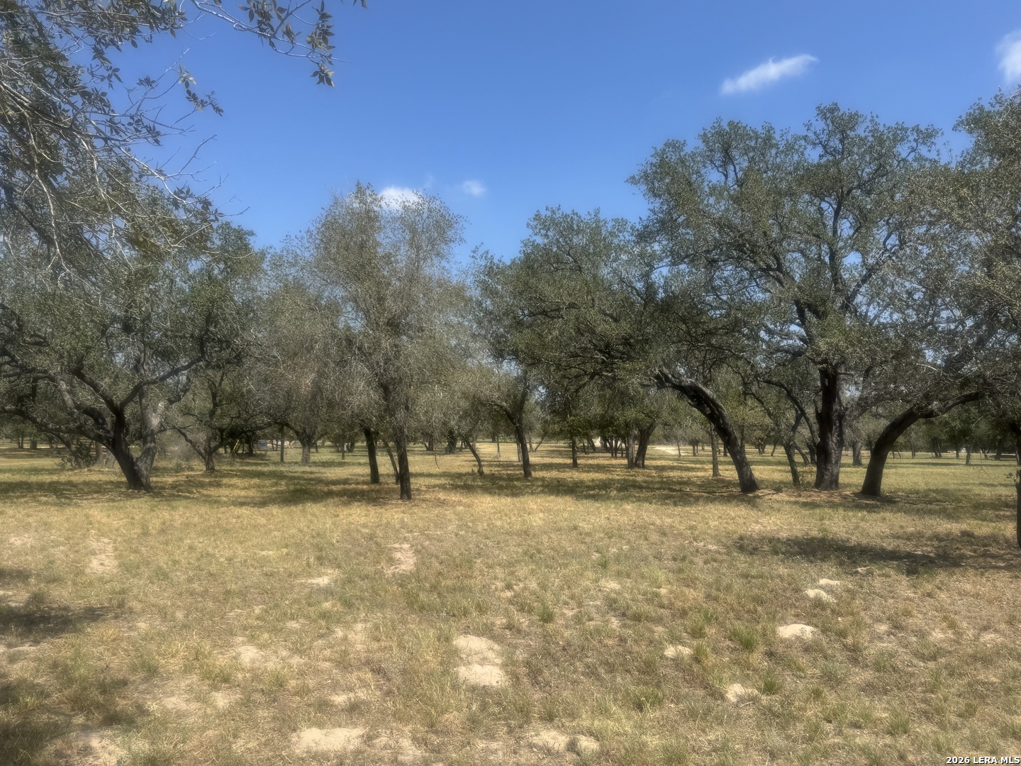 Land for sale at 1600 County Rd 770, Natalia, TX 78059 | MLS# 2016766