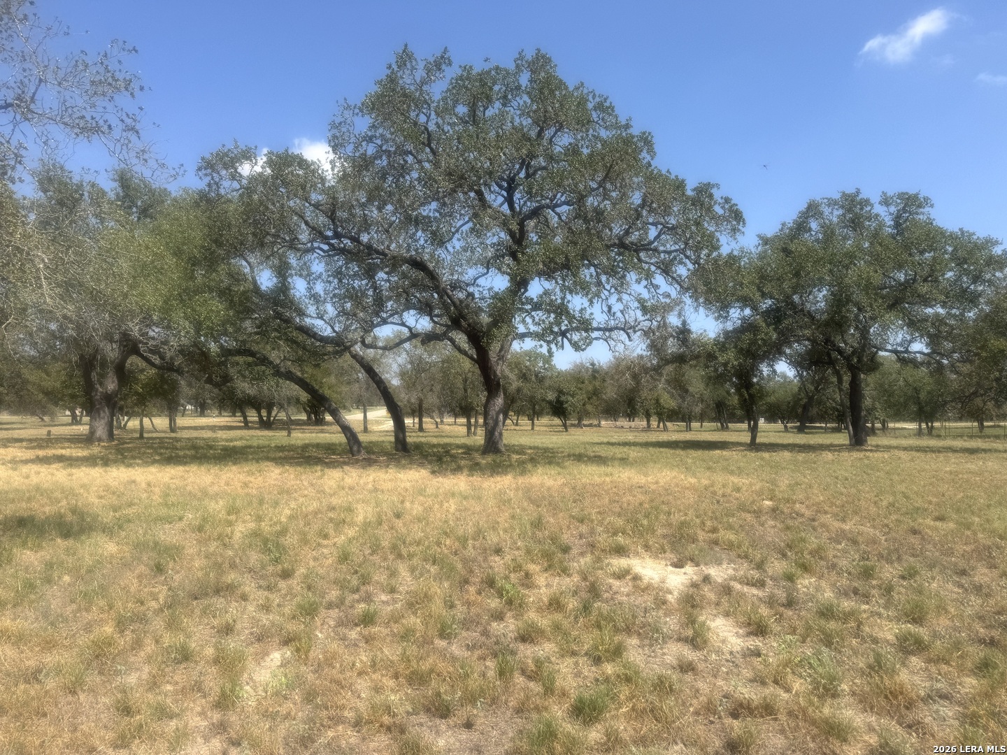 Photo 4 of Land for sale at 1600 County Rd 770, Natalia, TX 78059 | MLS# 2016766 | Listing updated on 2026-09-15
