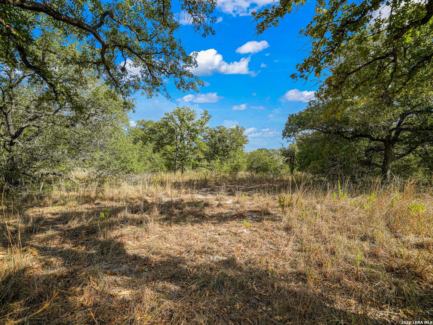 912 Swallows Ln, SEGUIN, TX, 78155