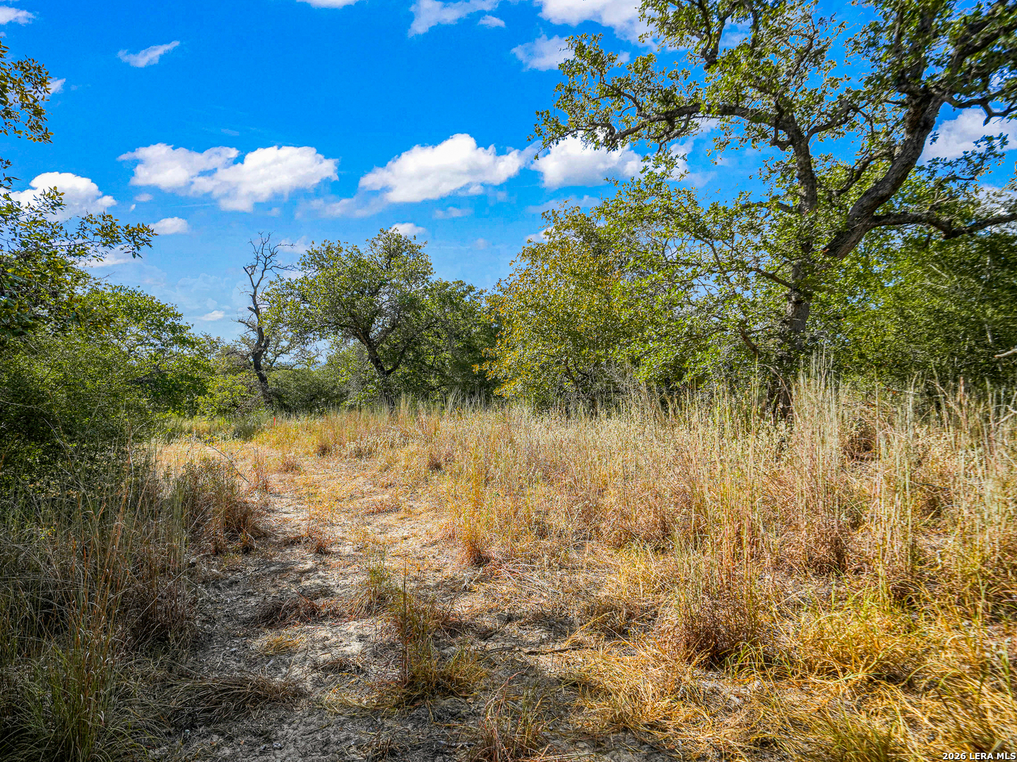 912 Swallows Ln, SEGUIN, TX, 78155