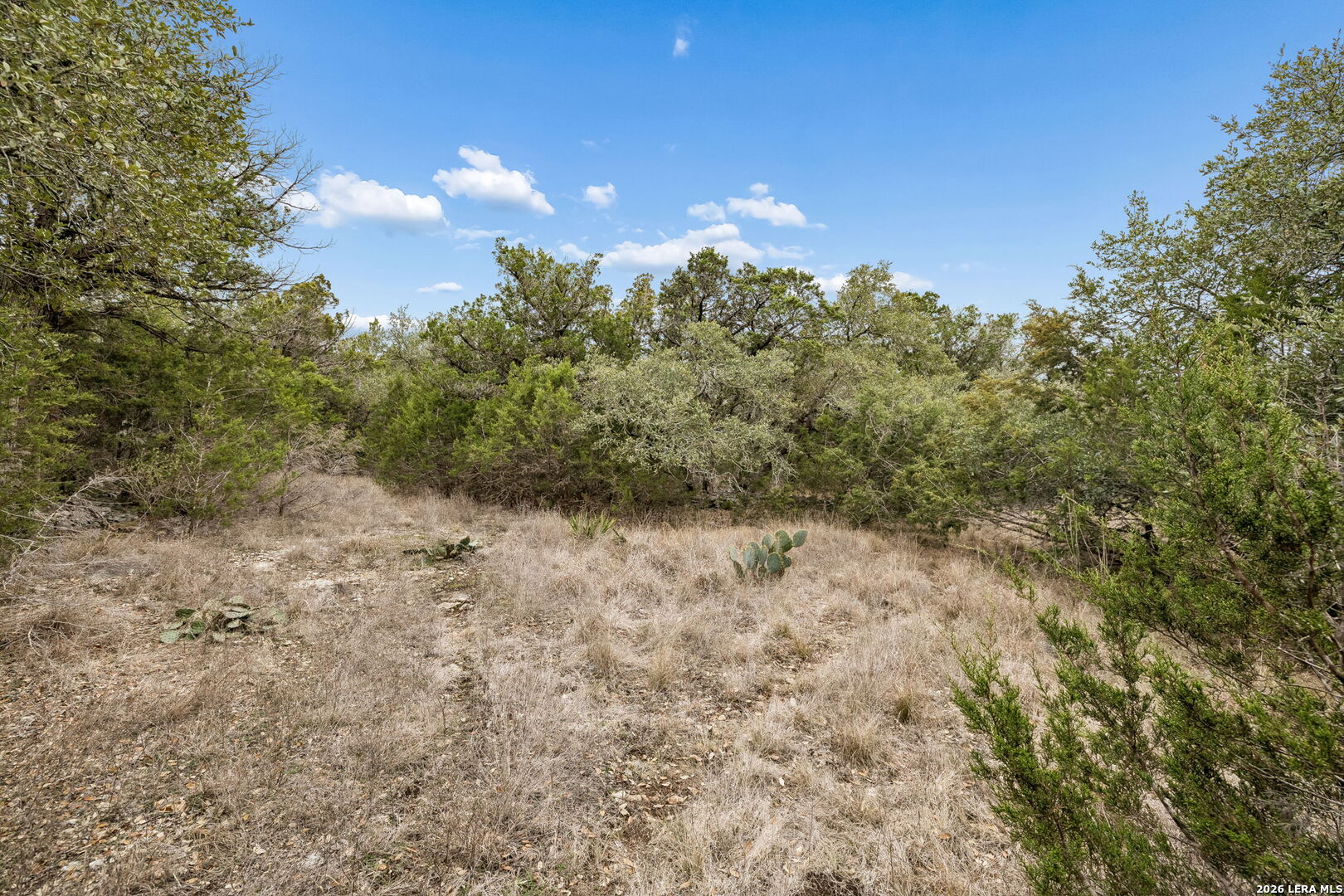 Land for sale at Tbd Lazy Forest, New Braunfels, TX 78132 | MLS# 2016994