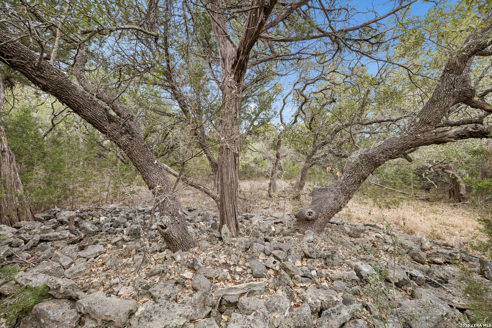 Photo 1 of Land for sale at Tbd Lazy Forest, New Braunfels, TX 78132 | MLS# 2016994 | Listing updated on 2026-09-17