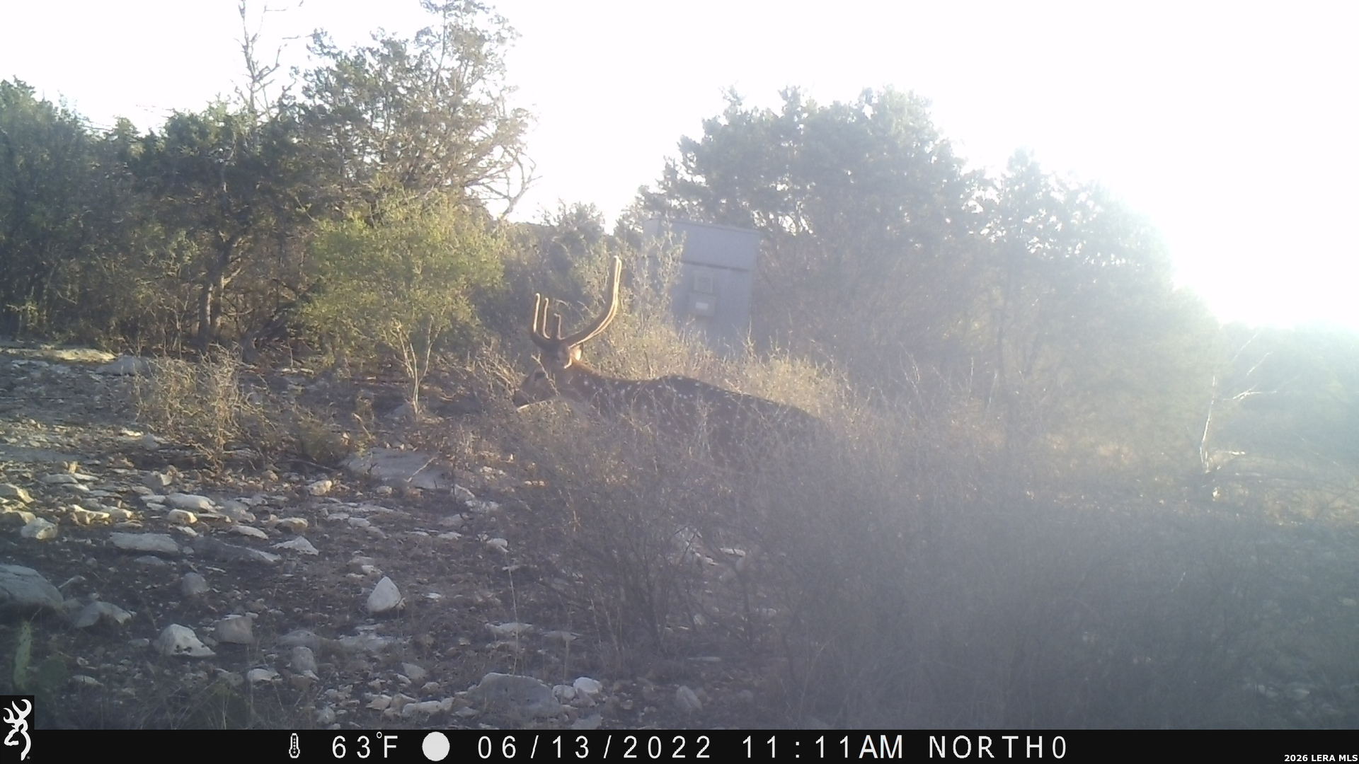 Photo 2 of Land for sale at 116 Leona Ranch Rd, Brackettville, TX 78832 | MLS# 2017749 | Listing updated on 2026-09-18