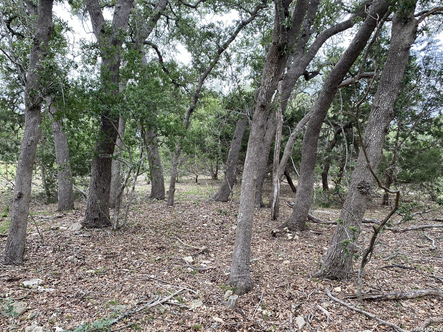 42 RUST LN, Boerne, TX 78006