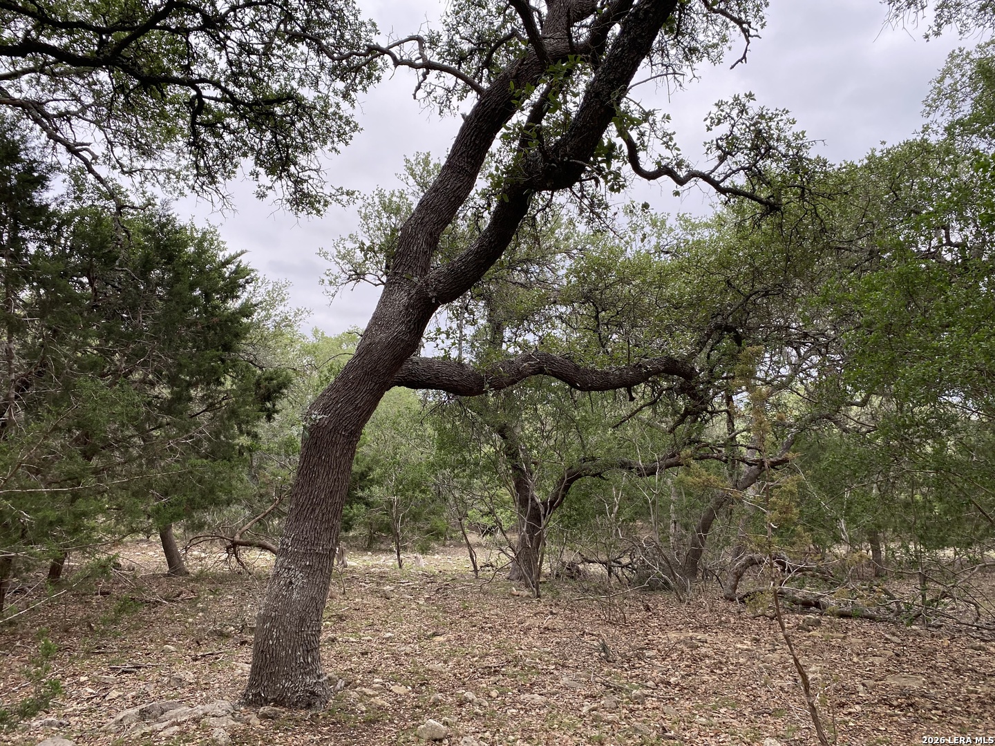 42 RUST LN, Boerne, TX 78006