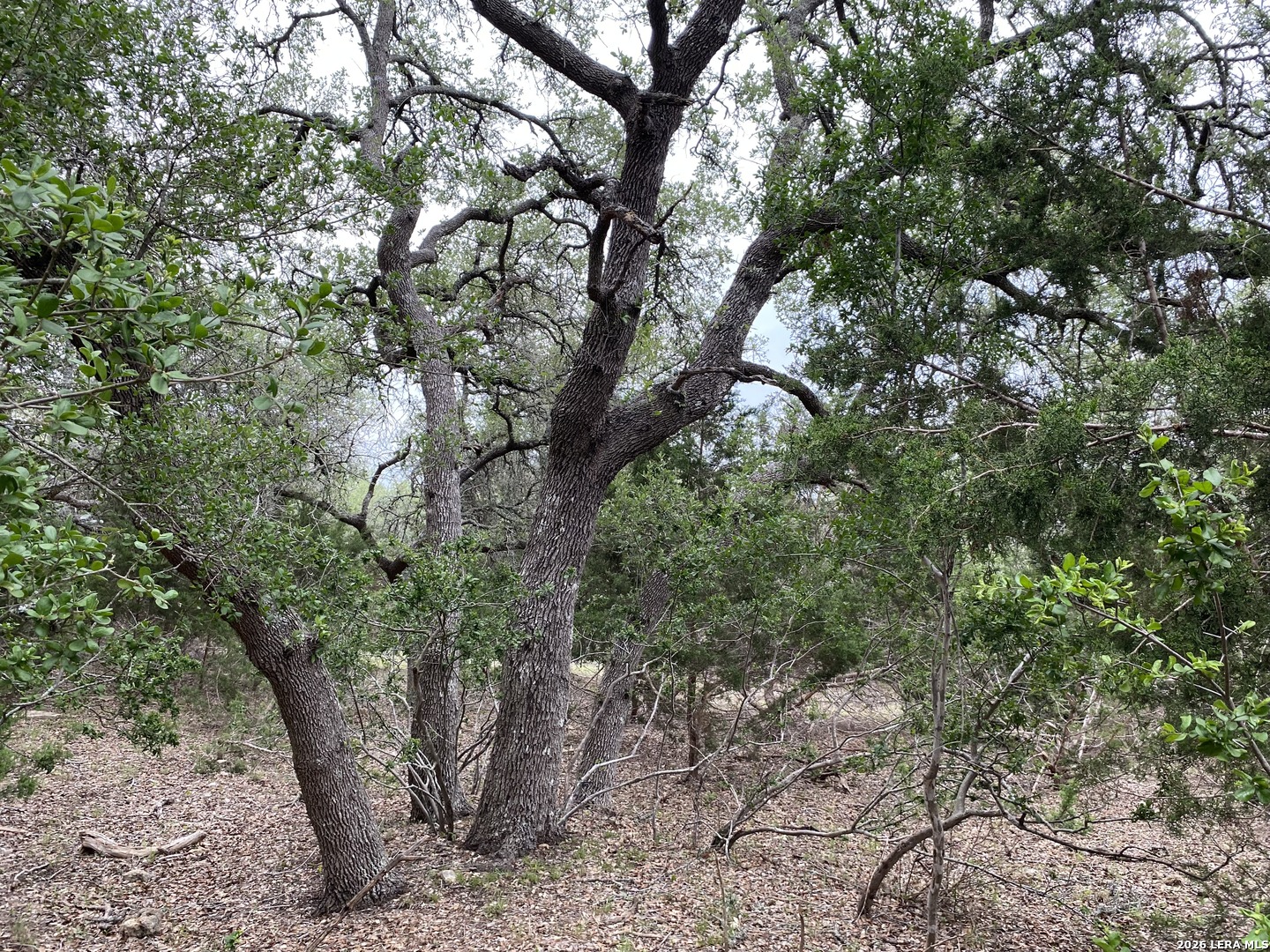 42 RUST LN, Boerne, TX 78006