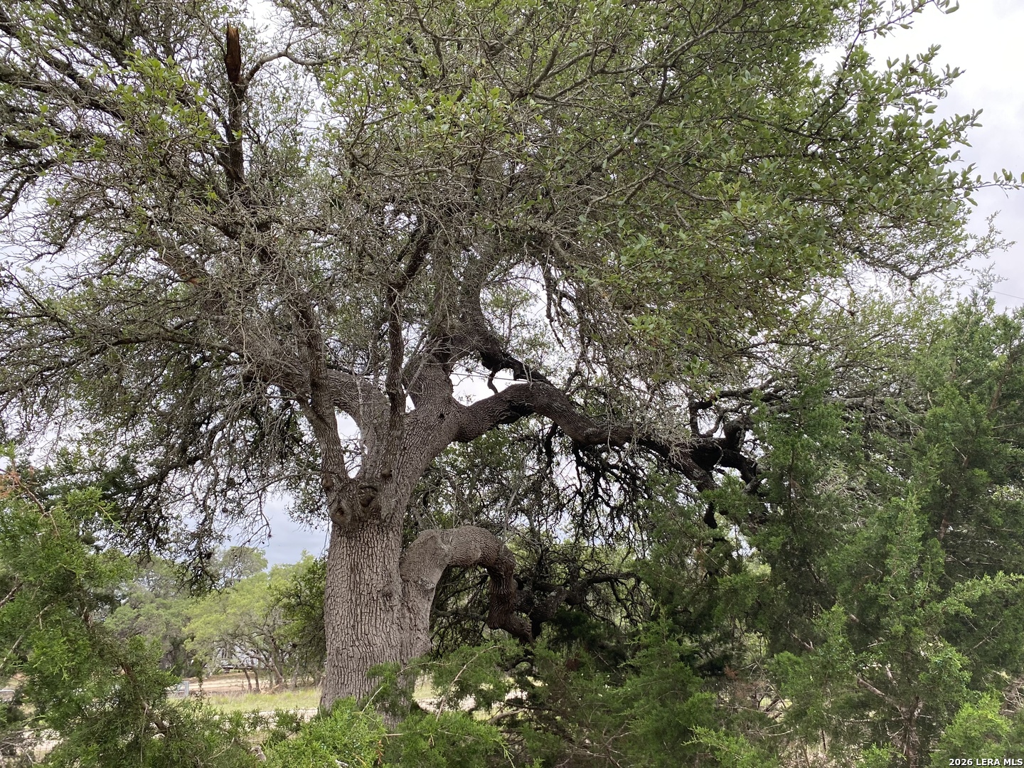 42 RUST LN, Boerne, TX 78006