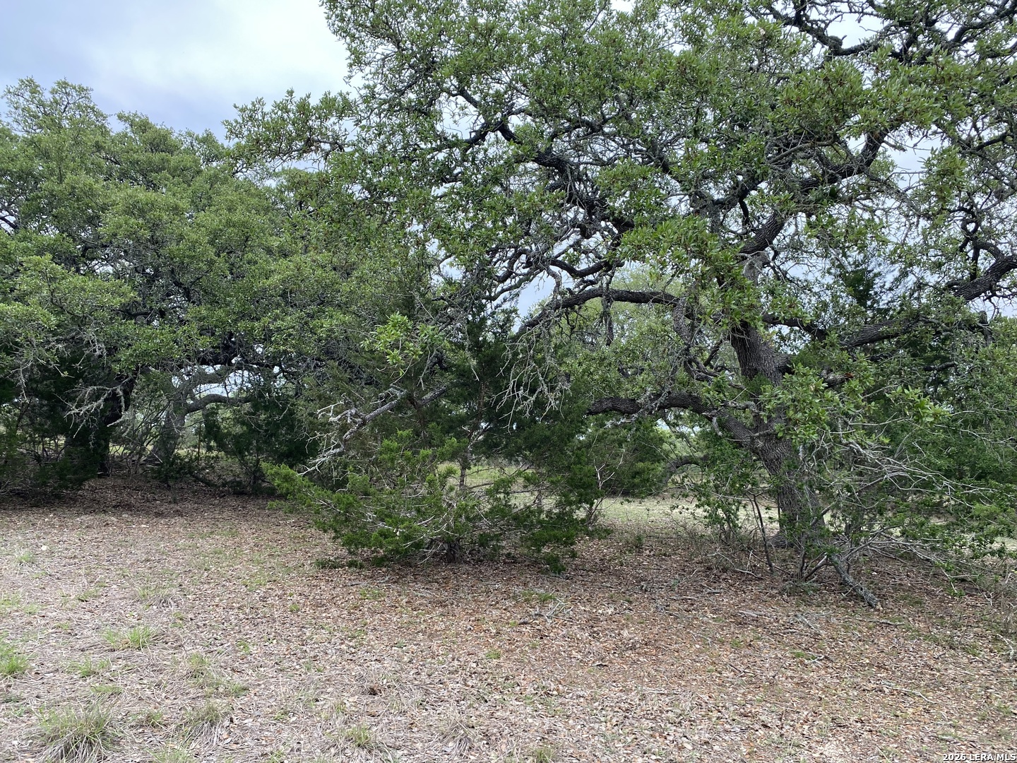 42 RUST LN, Boerne, TX 78006