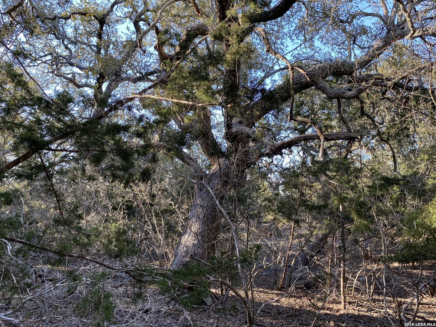42 RUST LN, Boerne, TX 78006
