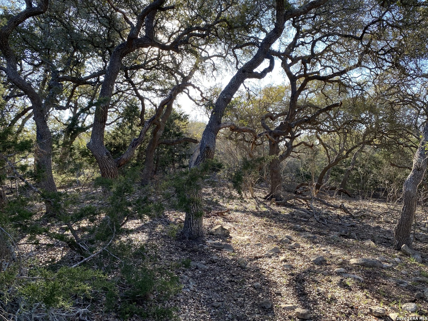 42 RUST LN, Boerne, TX 78006