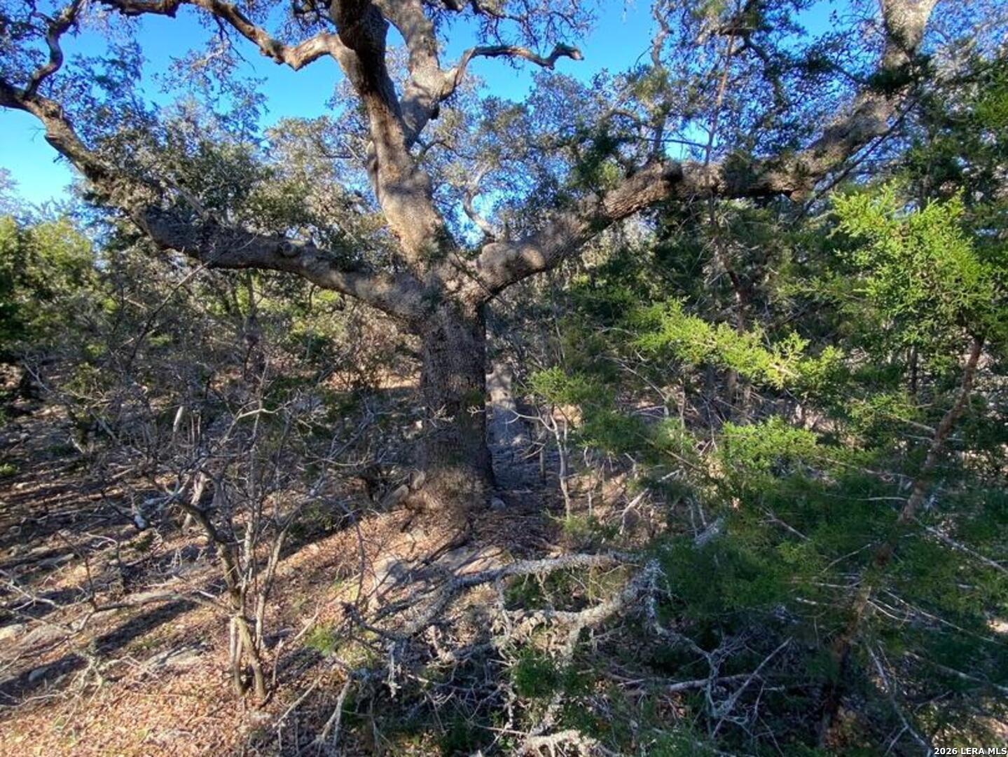42 RUST LN, Boerne, TX 78006
