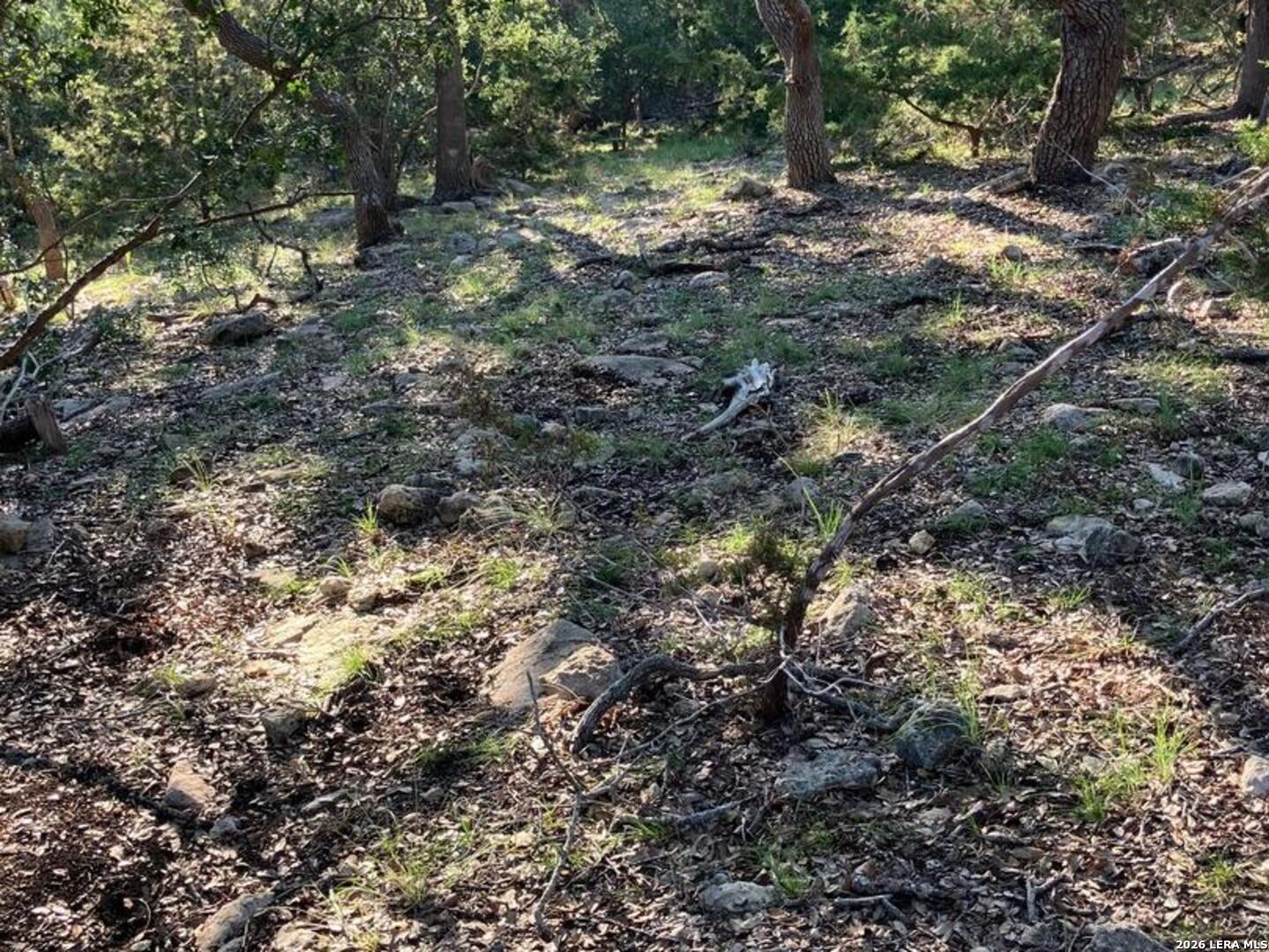 42 RUST LN, Boerne, TX 78006