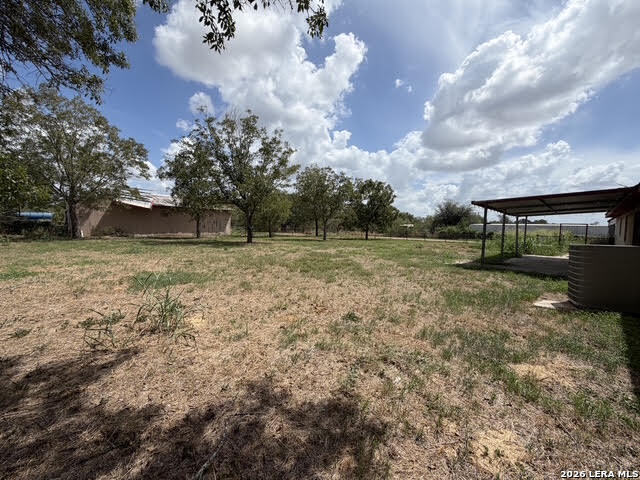 Yard/Garden