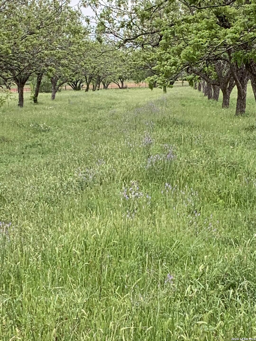 Photo 2 of Land for sale at 263 Krams Crk Rd, Seguin, TX 78155 | MLS# 2017861 | Listing updated on 2026-09-19