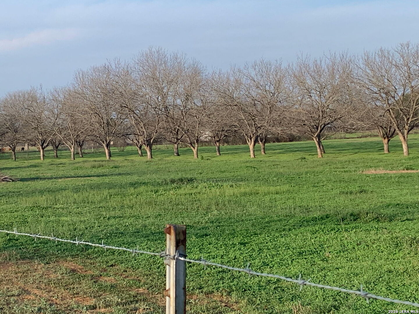 Photo 3 of Land for sale at 263 Krams Crk Rd, Seguin, TX 78155 | MLS# 2017861 | Listing updated on 2026-09-19