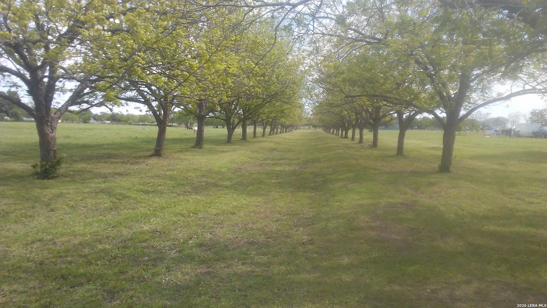 Photo 1 of Land for sale at 263 Krams Crk Rd, Seguin, TX 78155 | MLS# 2017861 | Listing updated on 2026-09-19