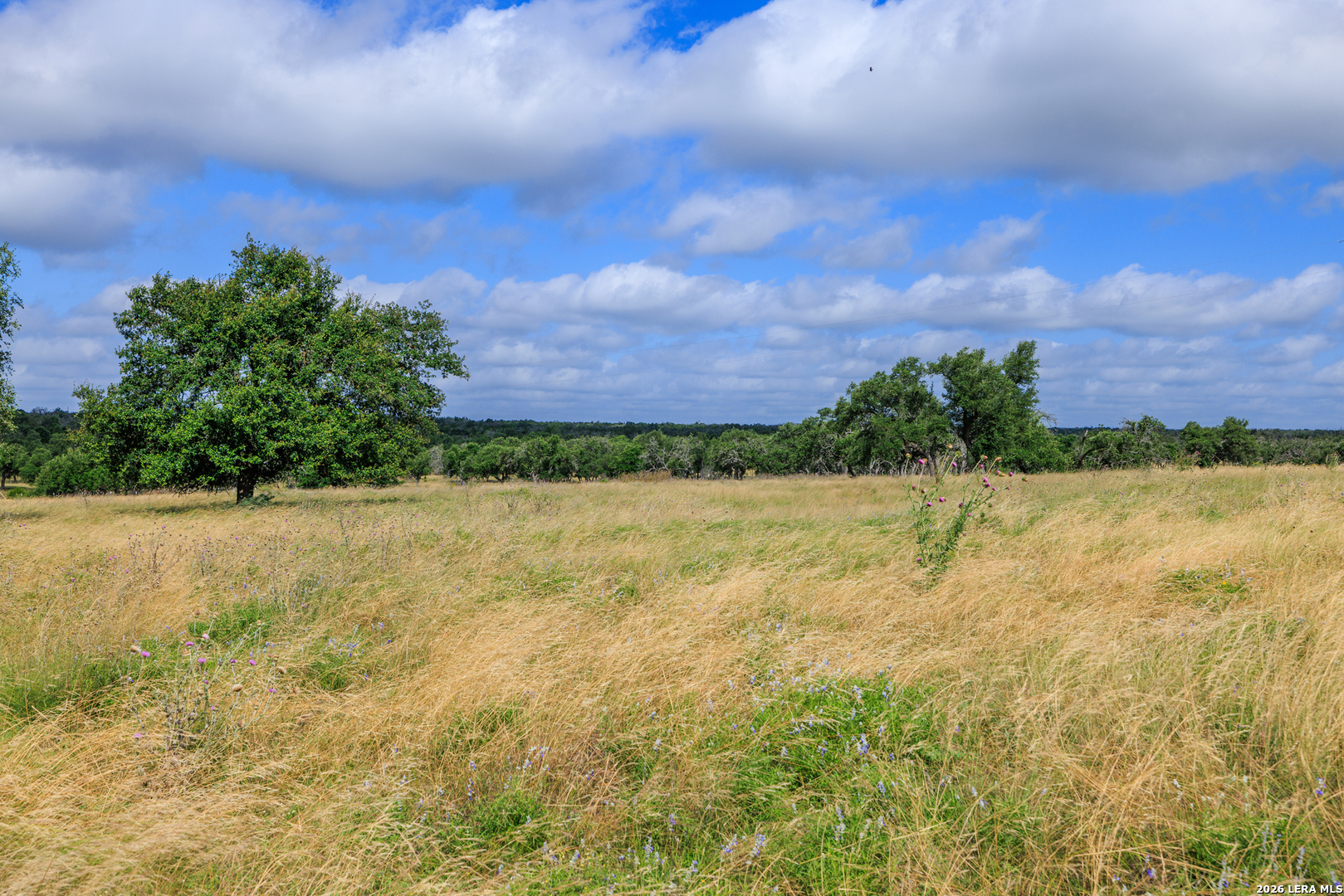 Photo 3 of Land for sale at 436 Stevens Ranch, Fredericksburg, TX 78624 | MLS# 2017731 | Listing updated on 2026-09-18