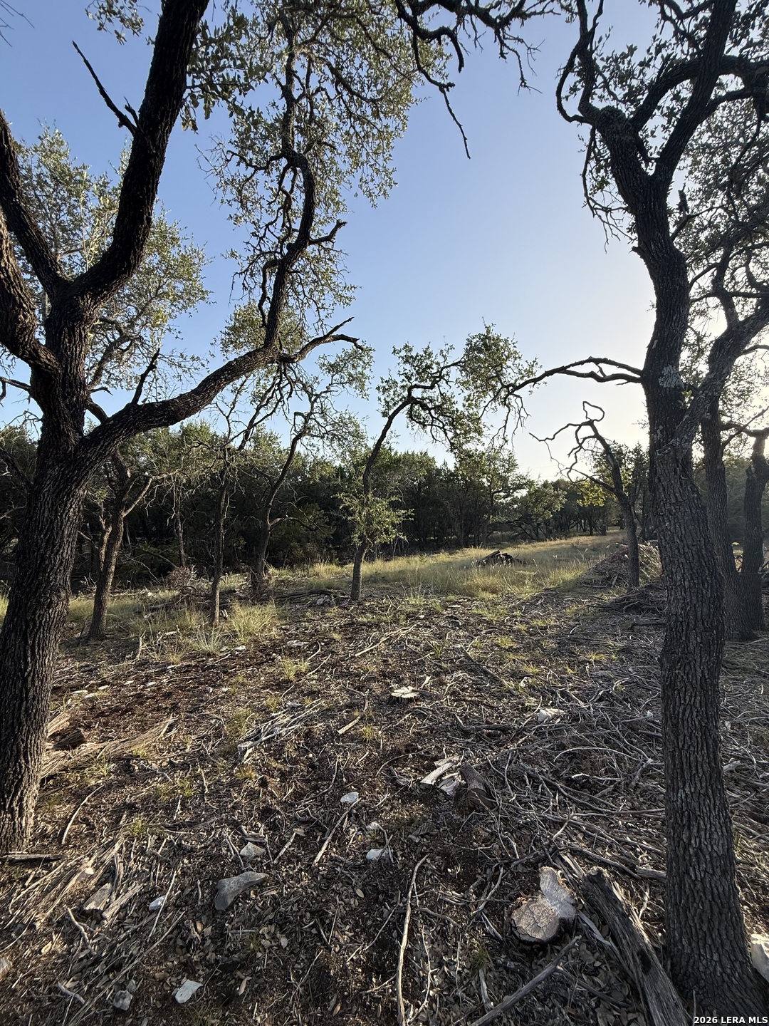 Photo 3 of Land for sale at 247 Restless Wind, Spring Branch, TX 78070 | MLS# 2017888 | Listing updated on 2026-09-19