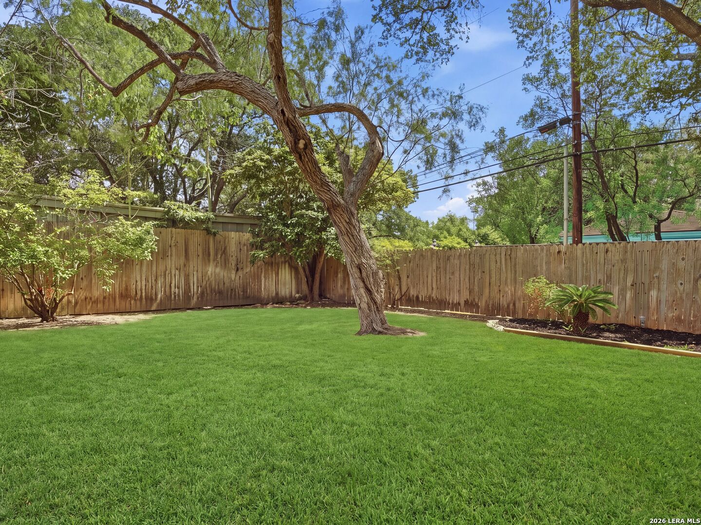 122 LABURNUM DR, San Antonio, TX 78209