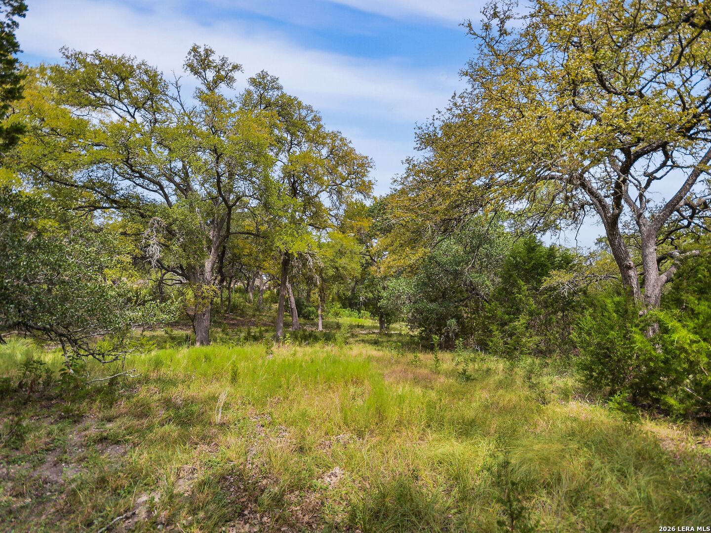 LOT 15 Thunder Cyn Listing Cover Image