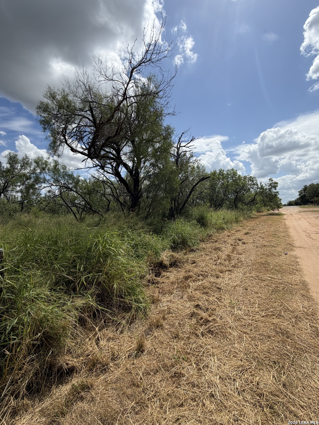 Land for sale at 307 Bluebonnet, Devine, TX 78016 | MLS# 2019440