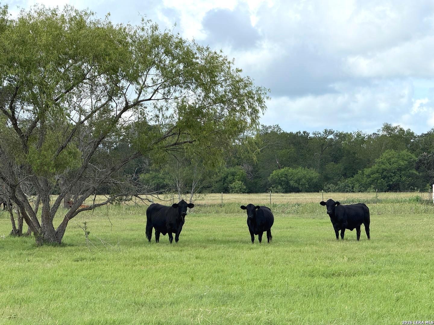 Photo 3 of House for sale at 2712 N State Hwy 80, Nixon, TX 78140 | MLS# 2019870 | Listing updated on 2026-09-28