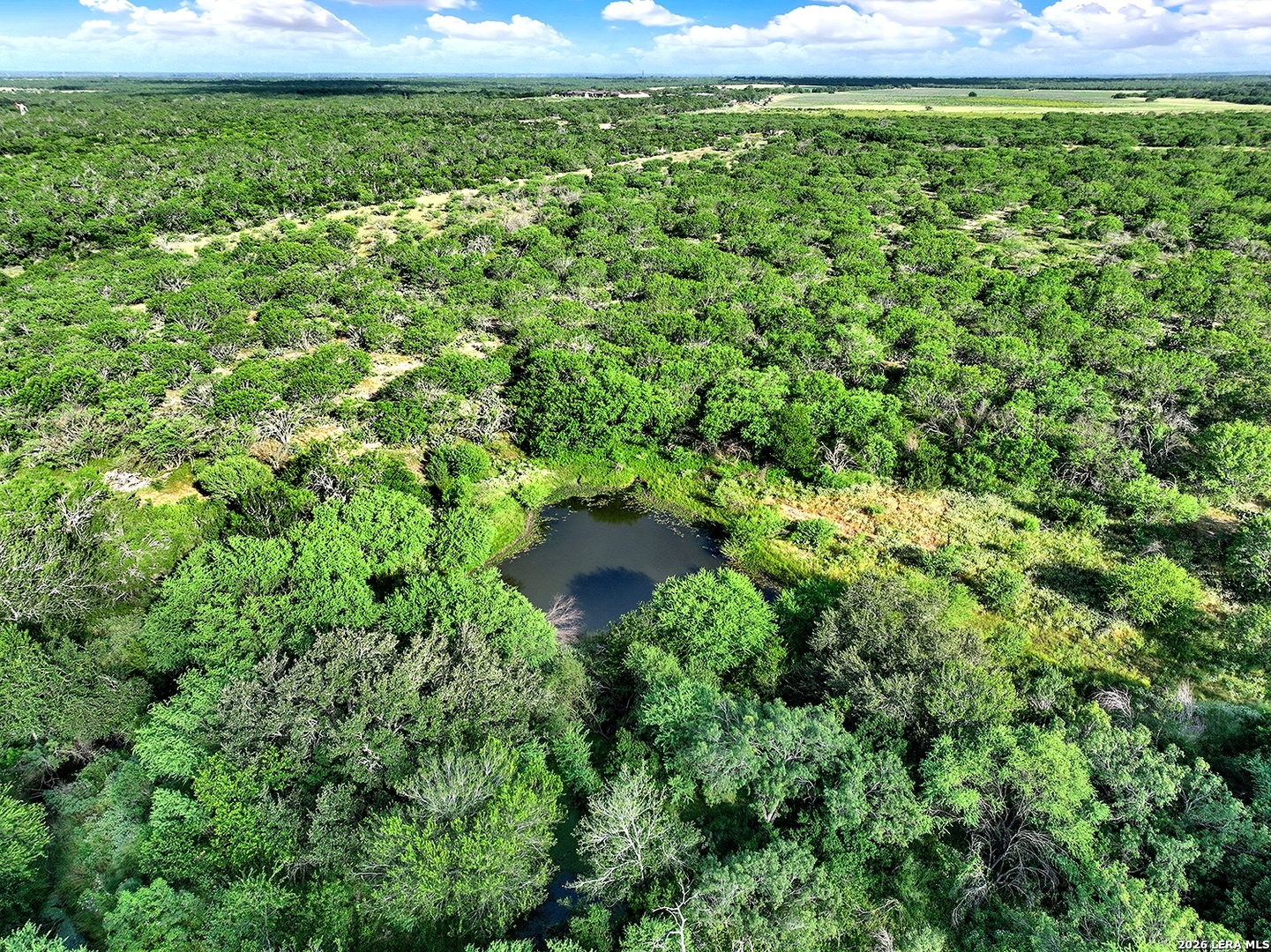4190 County Road 415, McCoy, TX 78064