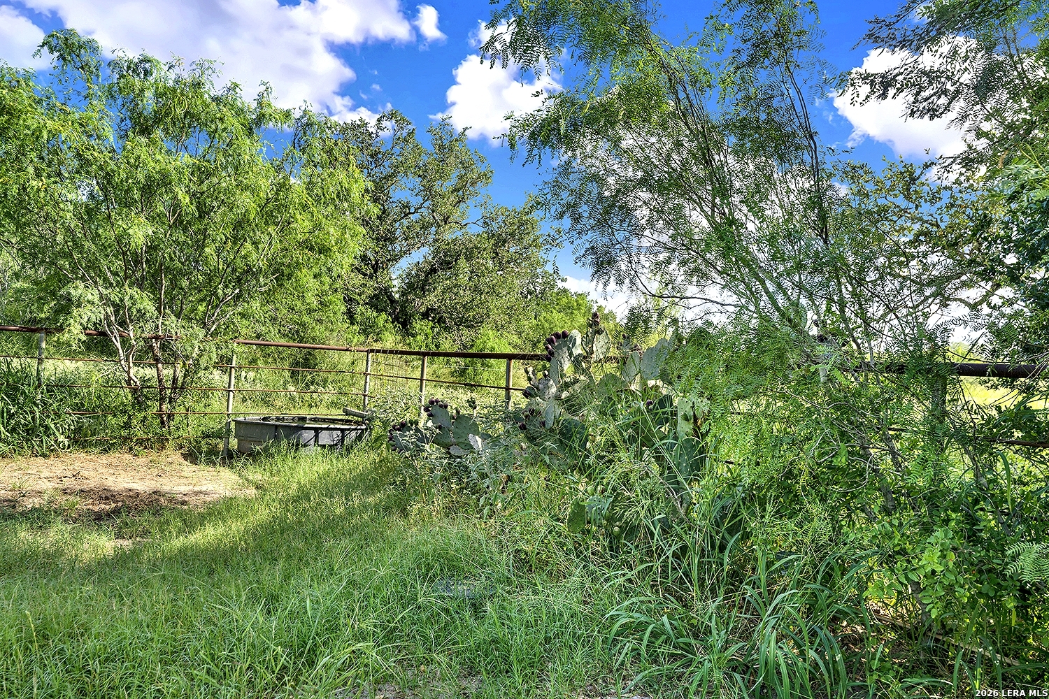 4190 County Road 415, McCoy, TX 78064