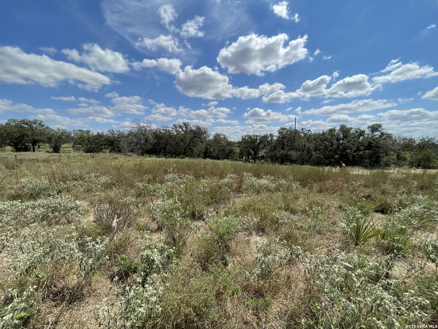 Photo 1 of Land for sale at 187 Cr 331, Floresville, TX 78114 | MLS# 2020226 | Listing updated on 2026-09-30