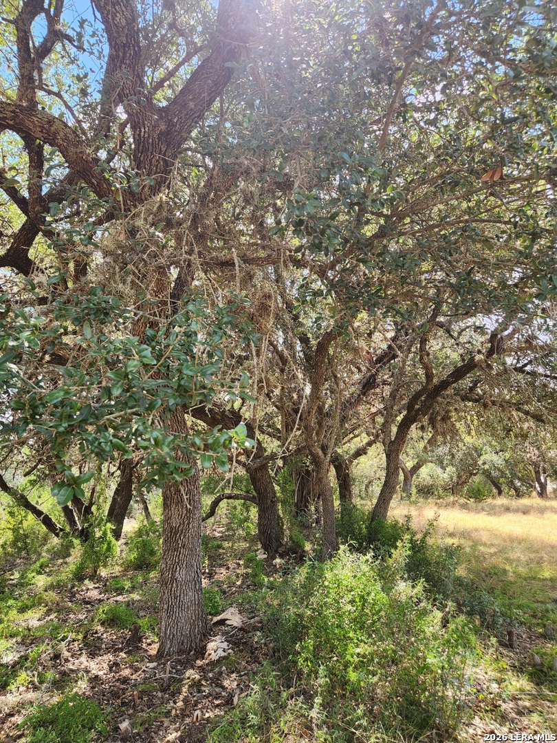 Photo 4 of Land for sale at Lot 50-51 Pr 1524, Bandera, TX 78003 | MLS# 2020448 | Listing updated on 2026-10-12