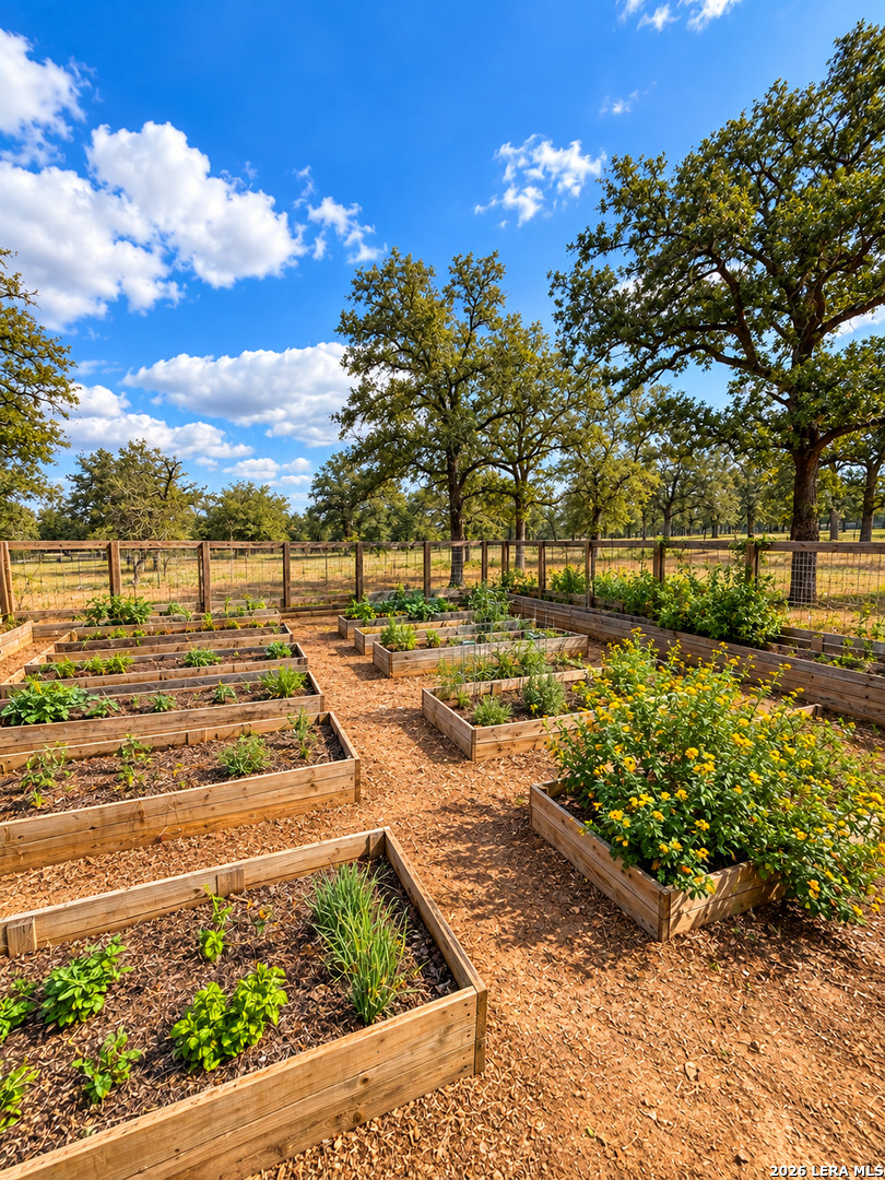 1410 W County Road 109, Leesville, TX 78122