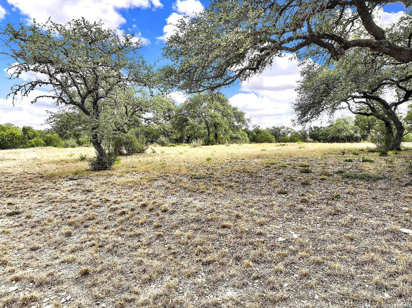 2475 George Pass, Canyon Lake, TX 78133