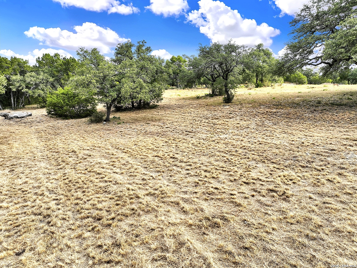 2475 George Pass, Canyon Lake, TX 78133
