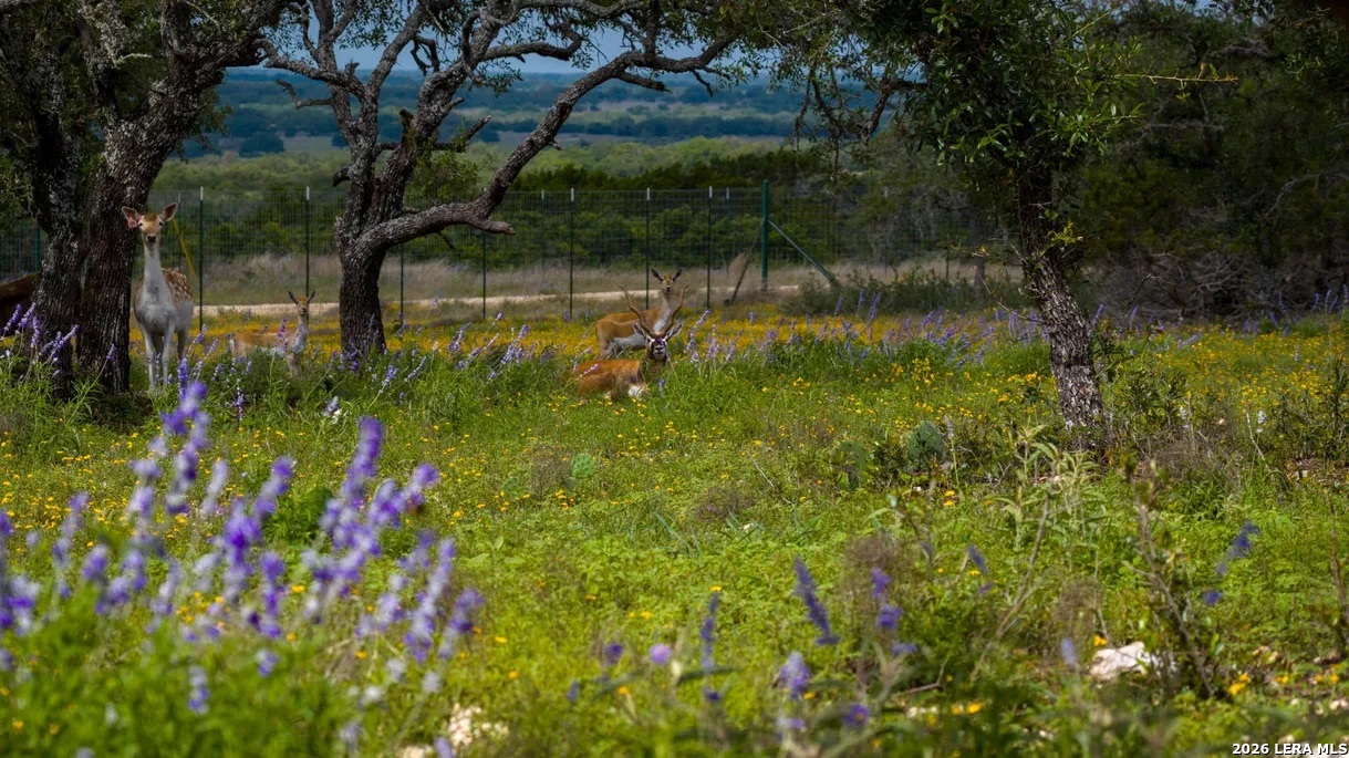 Property photo for TBD El Rincon, Mountain Home, TX