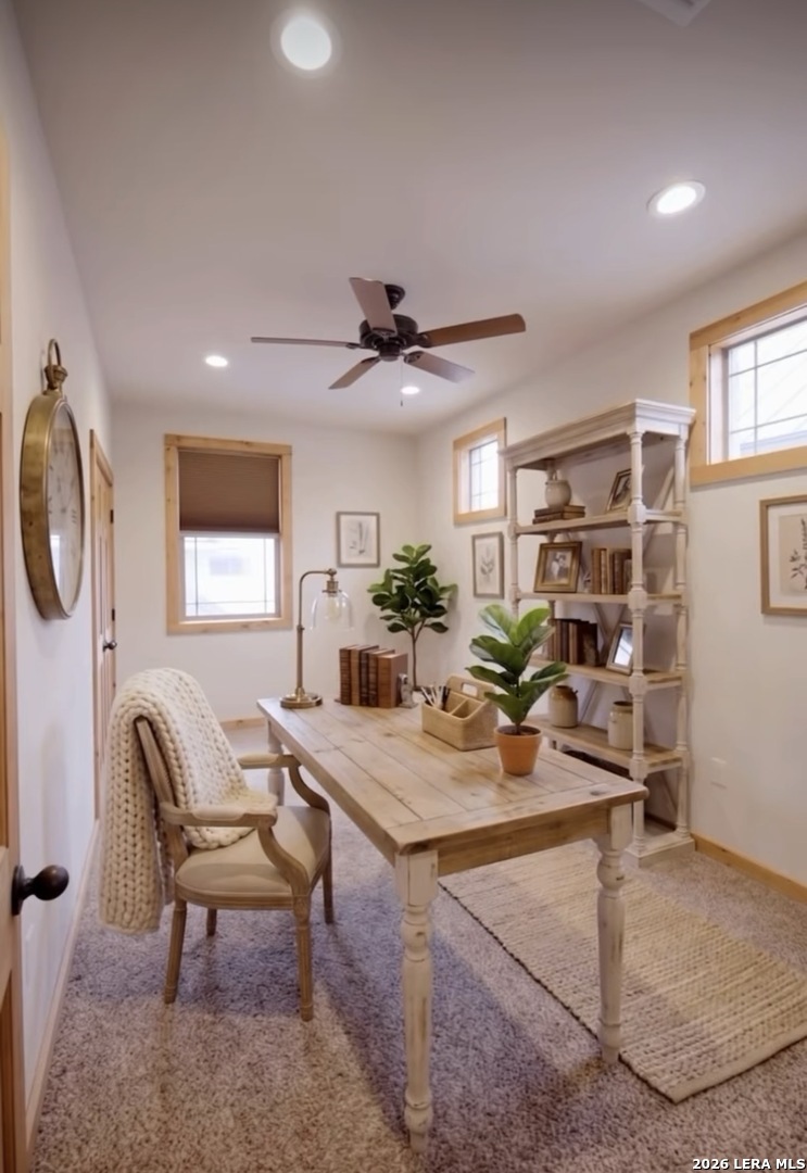 1694 Gruene Vineyard Crossing, photo 3