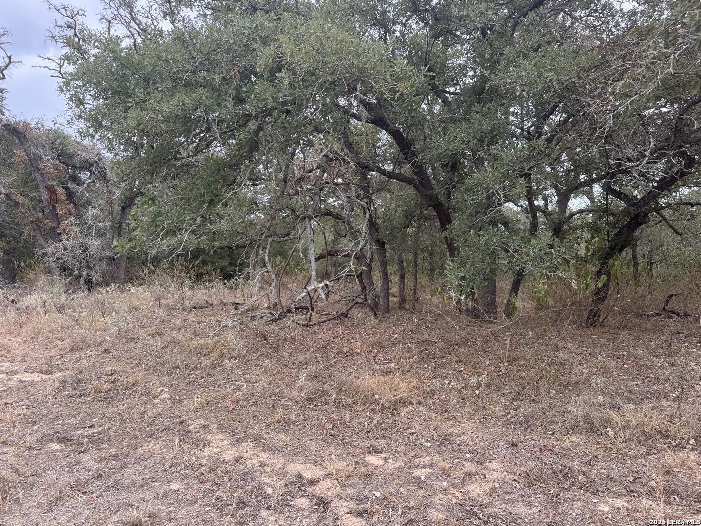 Property photo for 133 WHITE HORSE LN, Stockdale, TX