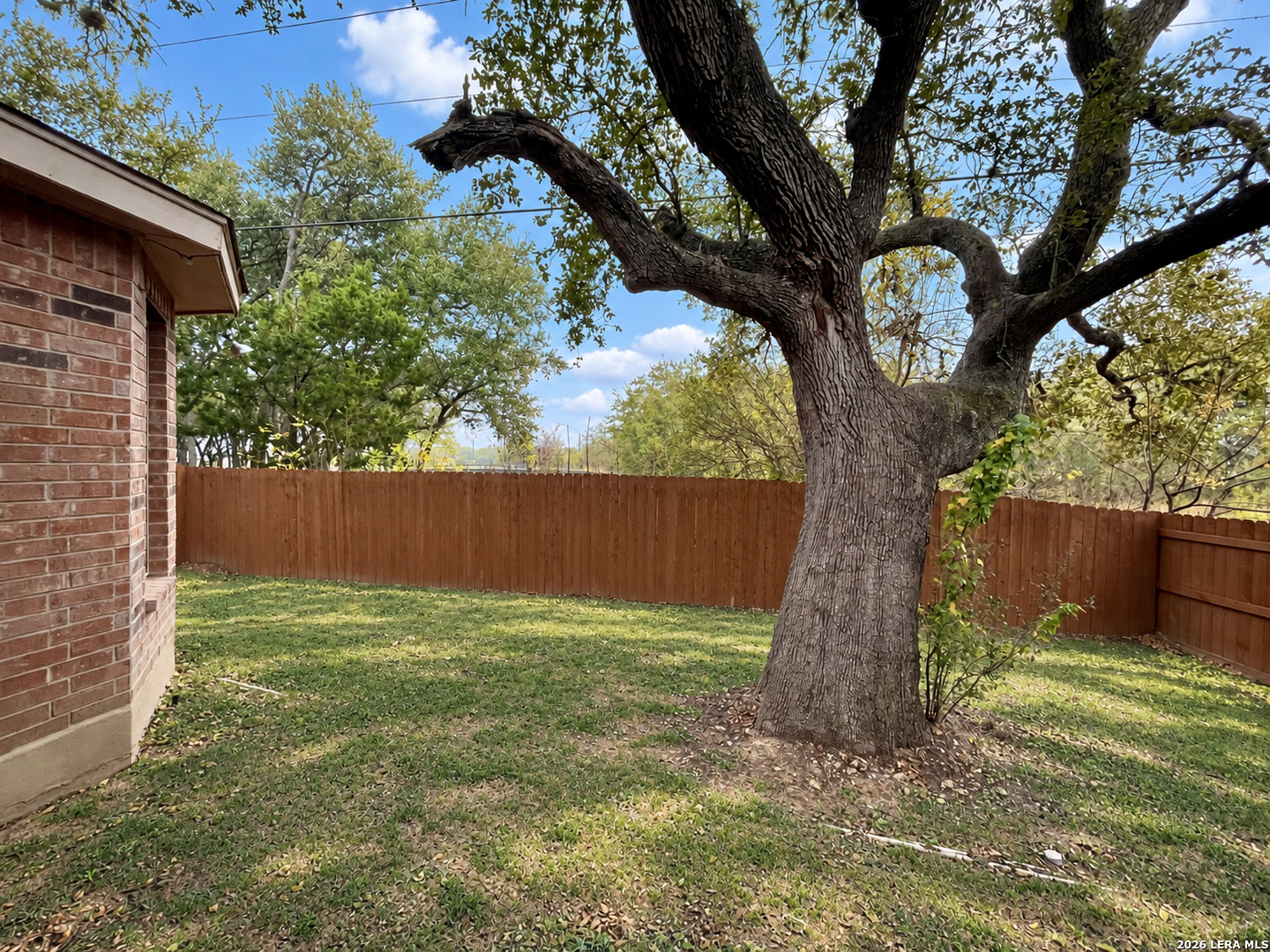 8711 Kallison Arbor, San Antonio, TX 78254