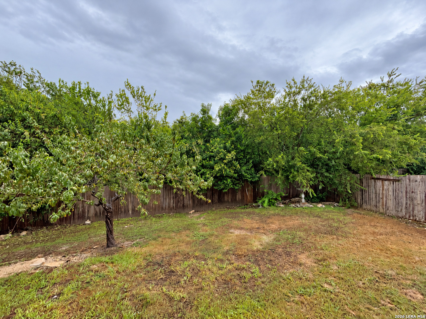10802 Denae Drive, Live Oak, TX 78233