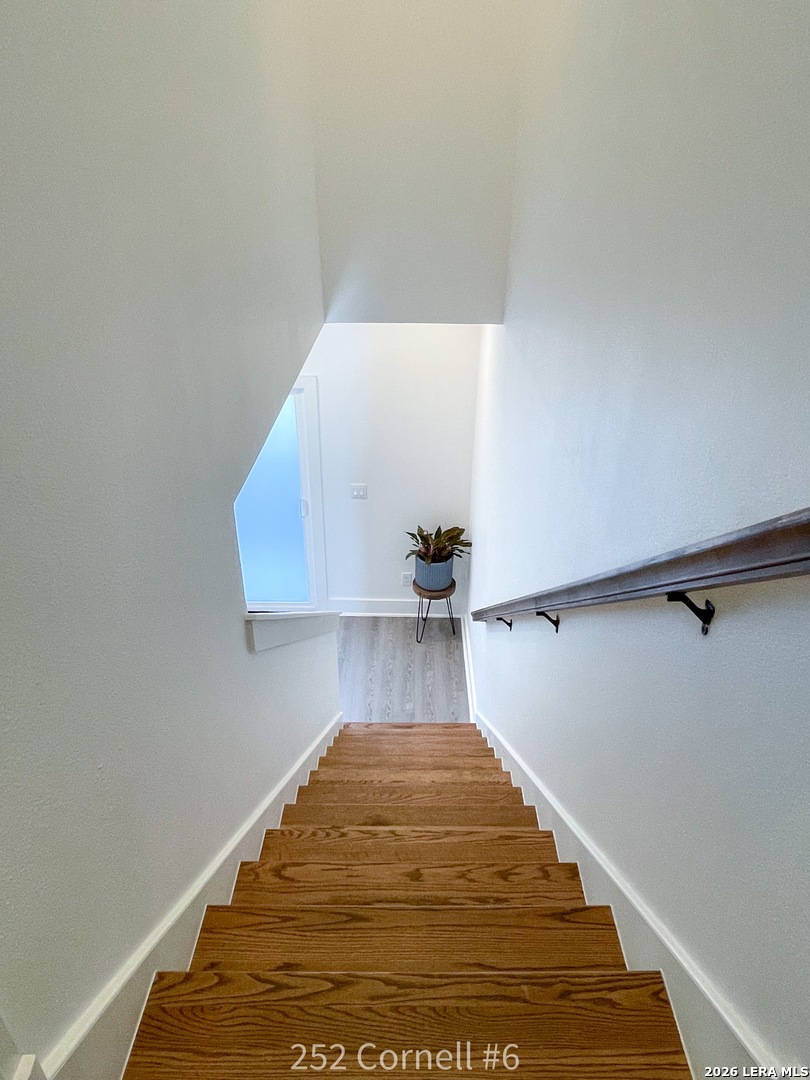 252 Cornell, #6, San Antonio, TX 78201
