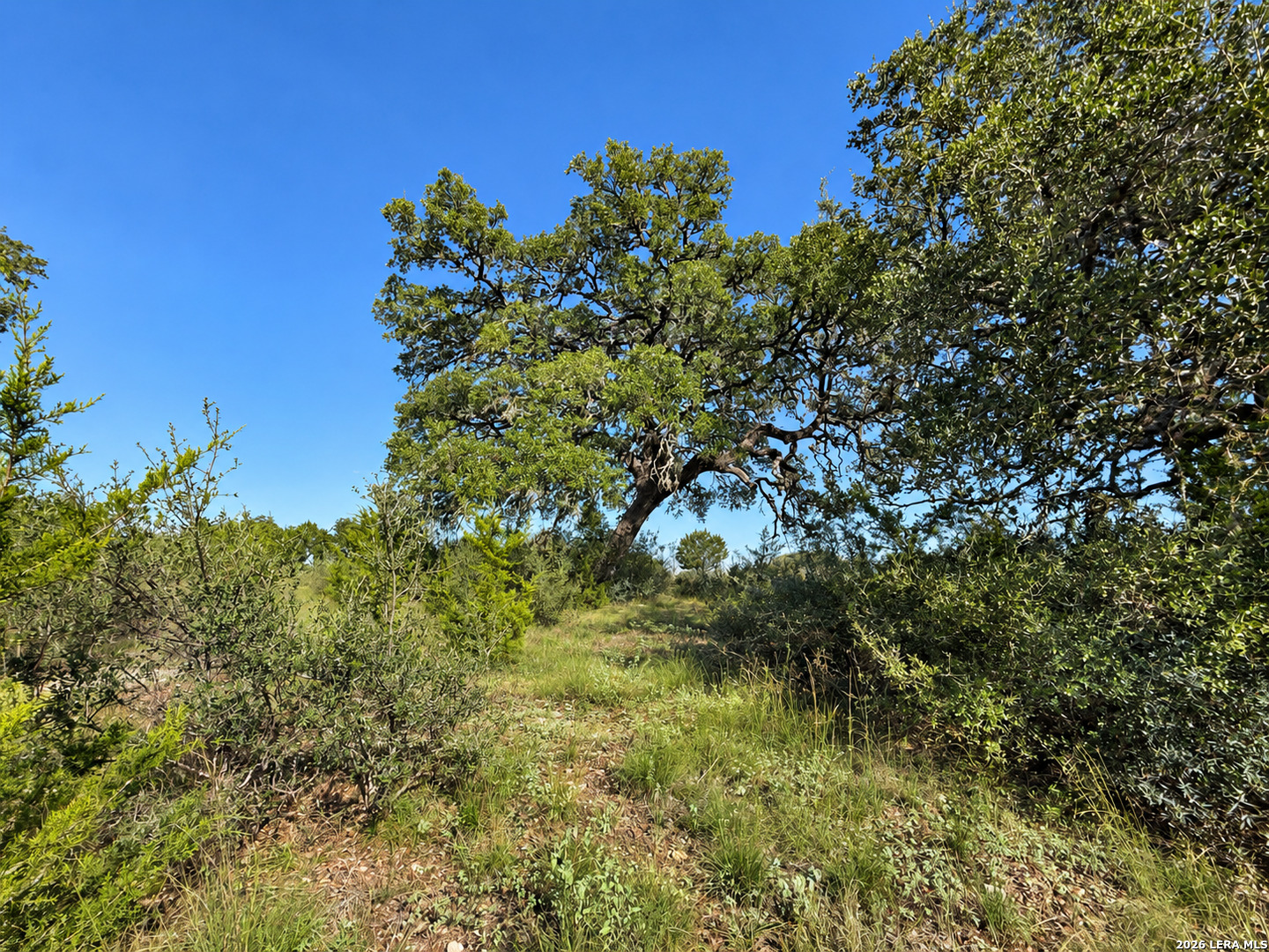 Photo 2 of Land for sale at Lot 32 Lariat Tr, Bandera, TX 78003 | MLS# 2021864 | Listing updated on 2026-10-07